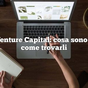 Venture Capital:  cosa sono e come trovarli