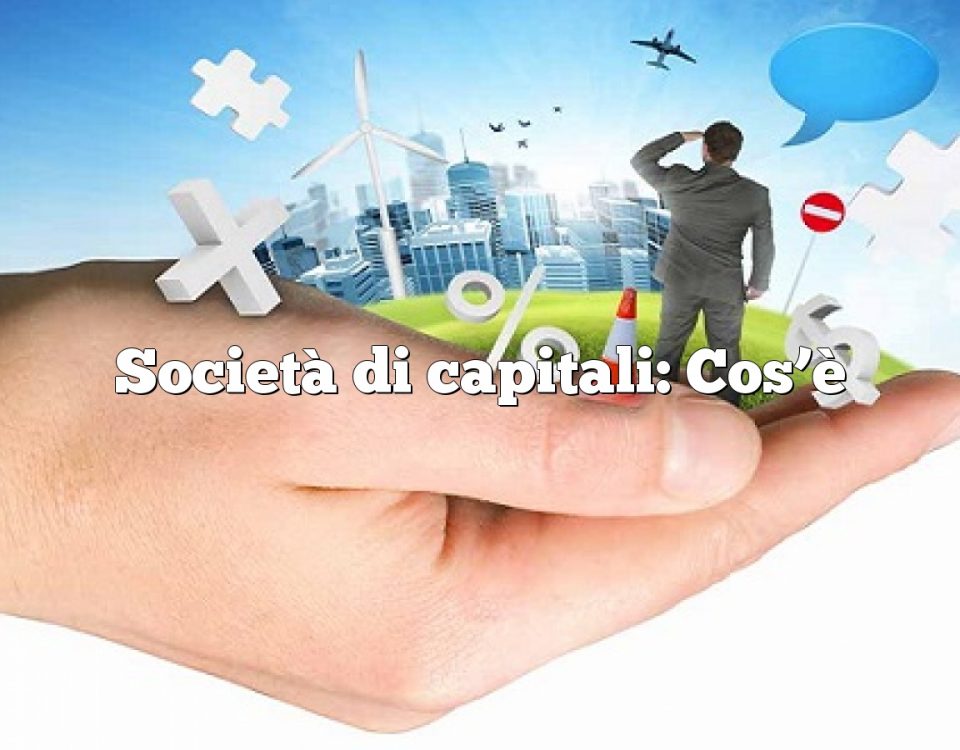 Società di capitali: Cos’è